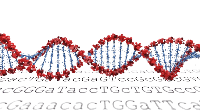Next Generation Sequencing (NGS) Course