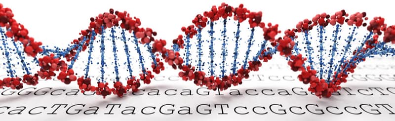 Next Generation Sequencing (NGS)