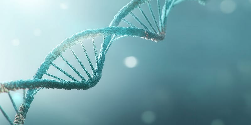 Genomics Data Science training classroom in Hyderabad focused on DNA analysis and bioinformatics concepts